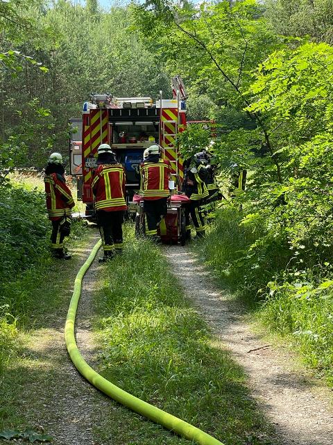 IMG-20220616-WA0009 groß.jpg